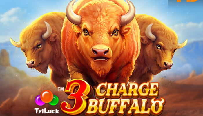 3 Charge Buffalo