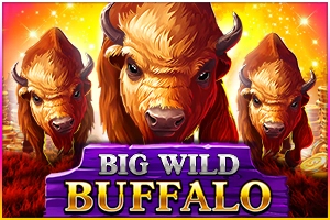 Big Wild Buffalo  