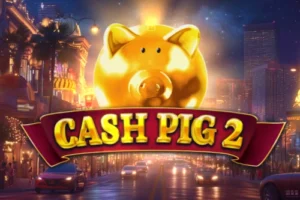 Cash pig 2